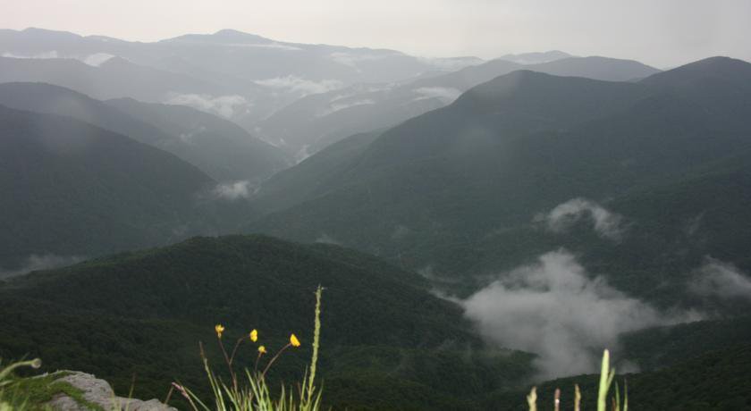 Гостиница Novikoff Hotel Лазаревское